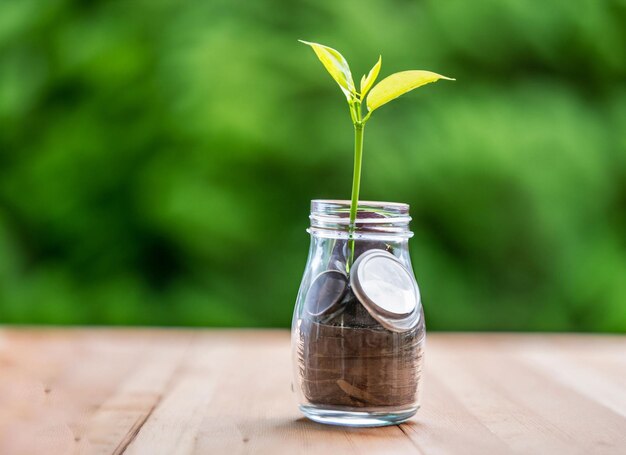 A small plant is in a glass and the word tree on it