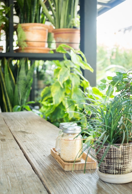 ヴィンテージのコーヒーショップで表示される小さな植物のポット