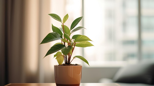 Photo small plant in a pot inside room