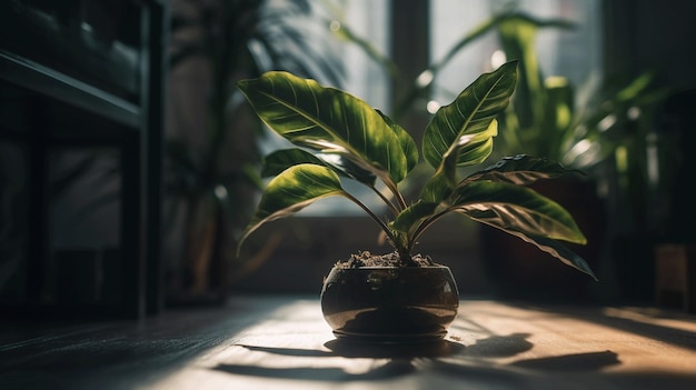 A small plant in a pot with the word plant on it