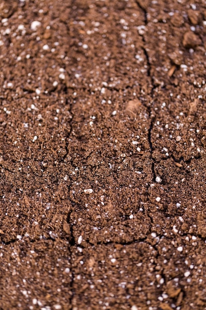 Foto piccoli vasi per piante con terriccio pronto per la stagione della semina.