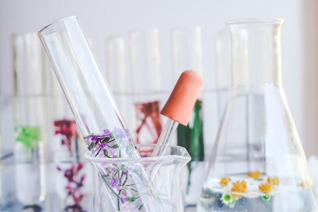 Small plants in test tube for biotechnology medicine research.