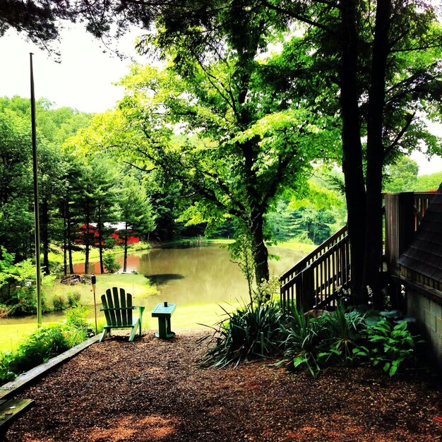 Small pond in park