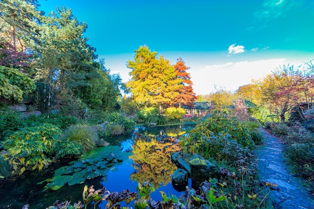 사진 식물로 둘러싸인 작은 연못과 노란색과 빨간색 잎을 가진 나무가 네덜란드 림부르크 남쪽의 랜드그라프에서  ⁇ 은 가을 날 물에 반사됩니다.
