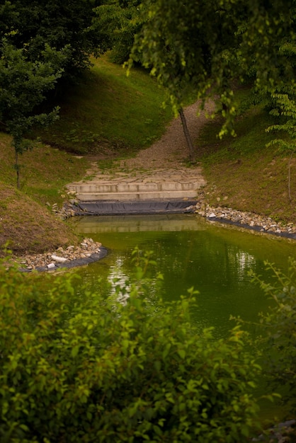 A small pond with a sign that says " dam " on the side.