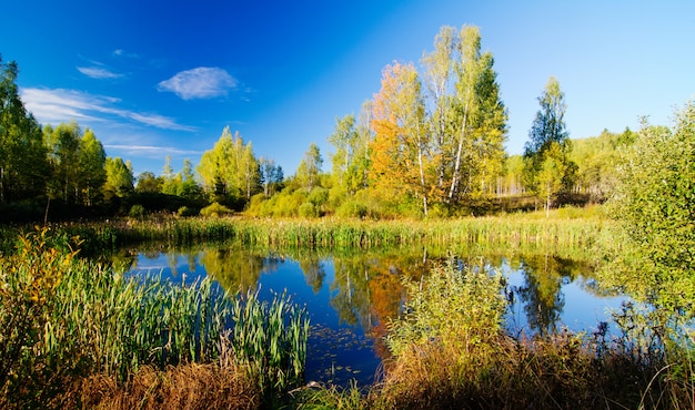 Small pond