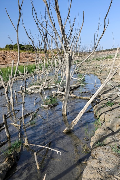 Small pool of water in a field of dry and cracked earth global\
warming and greenhouse effect