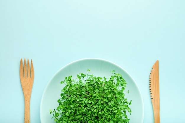 Small portion of microgreen on a plate. Concept of diet and weight loss.