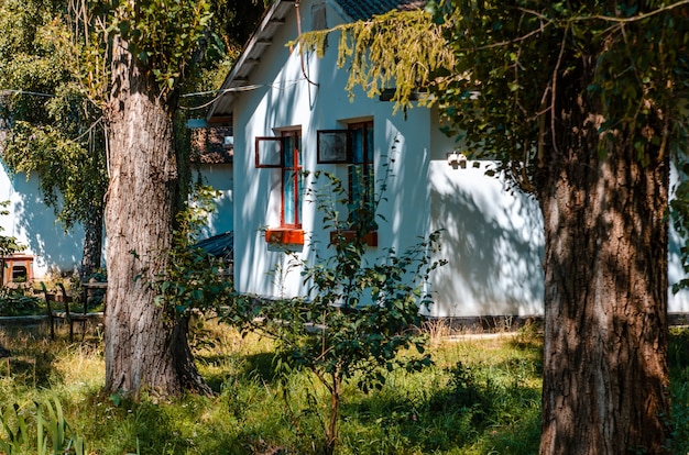 Small private house in the forest