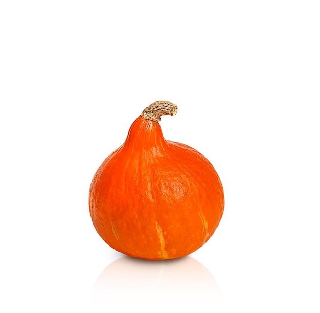 small pumpkin isolated on white background