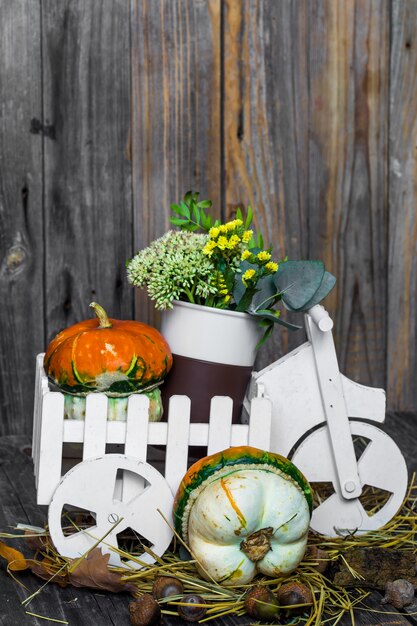 Piccola zucca sul tavolo di legno, autunno