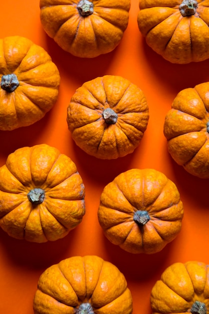 Small pumpkins on a bright orange backdrop Halloween and thanksgiving background