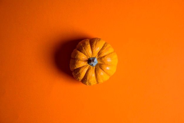 明るいオレンジ色の背景のハロウィーンと感謝祭の背景に小さなカボチャ