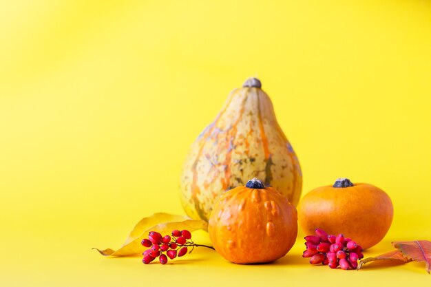 Small pumpkins, dried leaves and berries on yellow background. Autumn, fall or halloween concept.