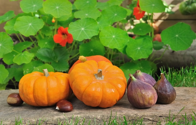 Small pumpkins and seasonal fruits