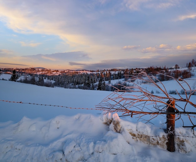 Photo small and quiet alpine village and winter sunrise snowy mountains around voronenko carpathian ukraine