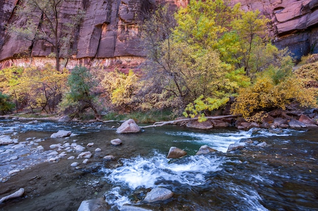 Small Rapids on the Virgin River