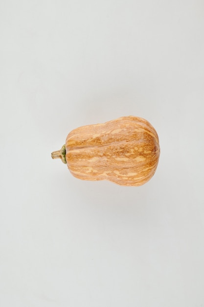 Photo small ripe orange honeynut squash on light grey background, view from the top