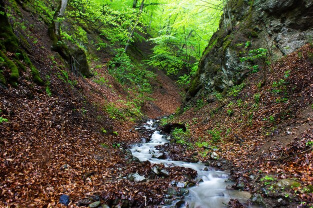 狭い峡谷に沿った小さな川