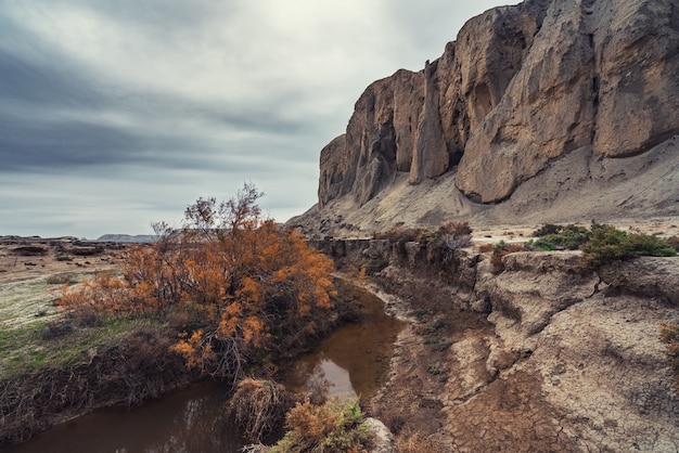 Photo small river in arid mountain terrain, atmospheric landscape