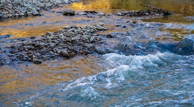 small river closeup