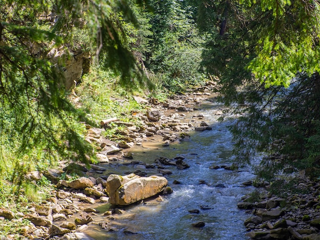 Small river flowing rapidly and vividly through its wild stony valley