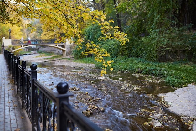 写真 市内中心部の美しい秋の公園に小さな川が流れています