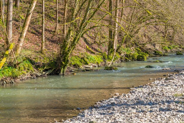 Foto piccolo fiume in primavera