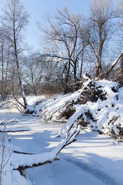 A small river whose water is frozen in winter, a frozen river during winter frosts, snow and frost in nature in winter near a river or lake