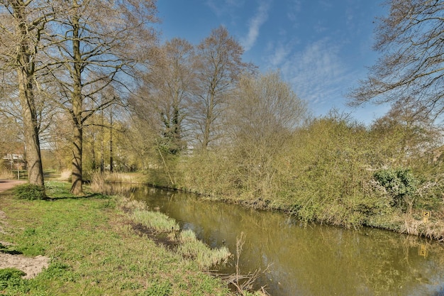 A small river with trees on the side of it