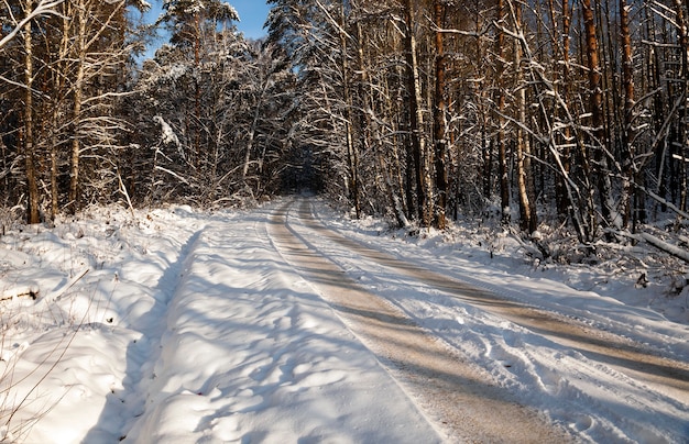 The small road photographed in a winter season