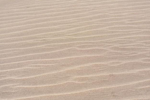 Small sand dunes texture.