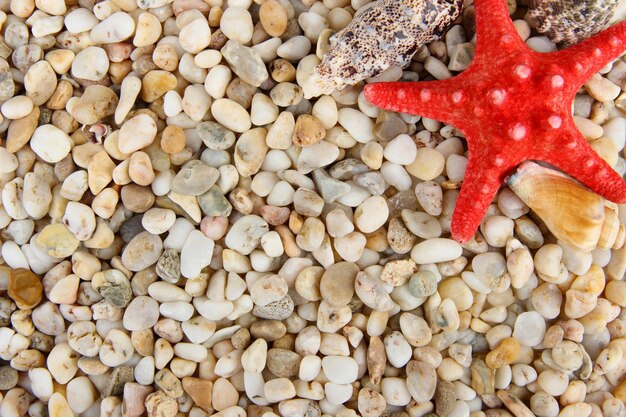 Small sea stones and shells close up