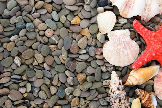 Small sea stones and shells close up