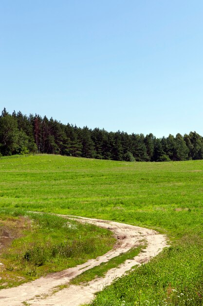 small section of a rural road going to the forest through a field with green grass