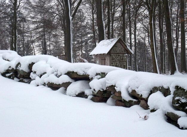 small shack in winter ambiance