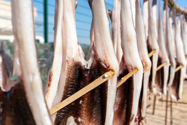 Small sharks hanging to dry in the sun - selective focus.