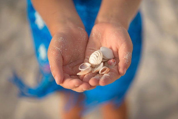 Foto piccole conchiglie nelle mani di una ragazza in vestito