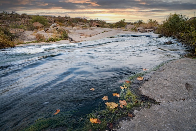 A small shining stream flows among smooth wet and dark stones