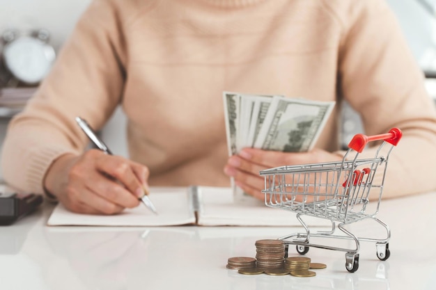 Small shopping carts and coins stacked with women holding bills and calculating food money