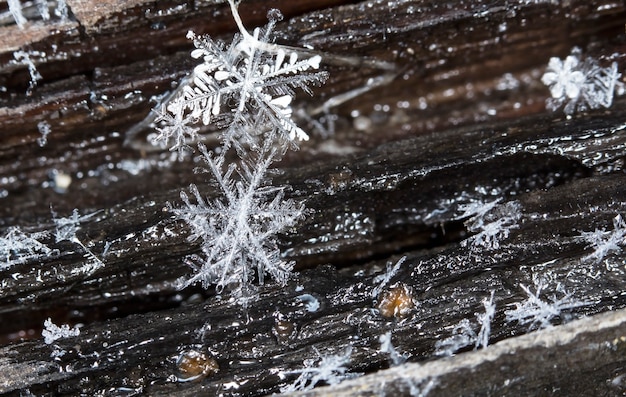 降雪時の小さな雪片