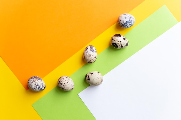 Small spotted quail eggsQuail eggs pattern Happy easter concept Minimal design Copy space flat lay from abovespring still life selective focus