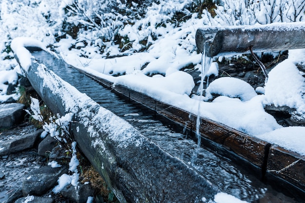 Piccola sorgente con acqua pulita e trasparente tra la foresta nelle montagne dei carpazi