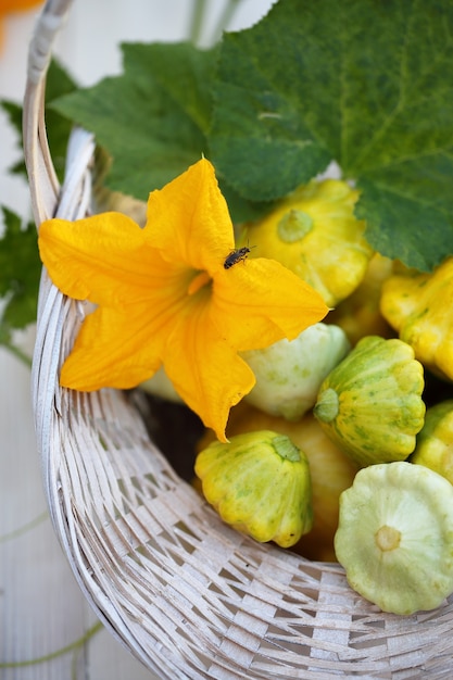 Photo small squash in a basket on a white table