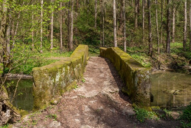 small stone bridge