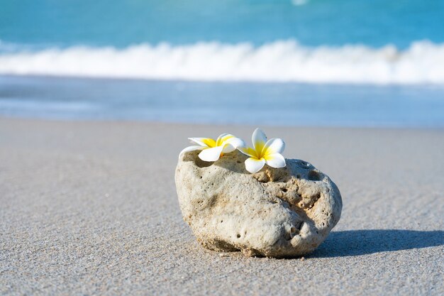 A small stone of an interesting smooth form is washed by waves on the beach. Calm and relaxation by the sea concept