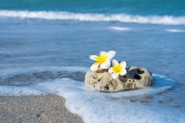 Una piccola pietra di una forma liscia interessante è lavata dalle onde sulla spiaggia. calma e relax grazie al concetto di mare