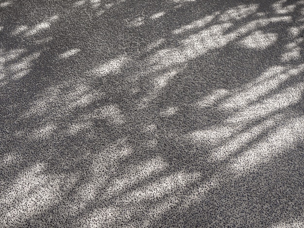 small stone texture floor with tree shadow