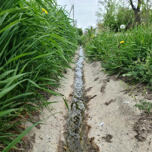 A small stream of water is running through a dirt road.