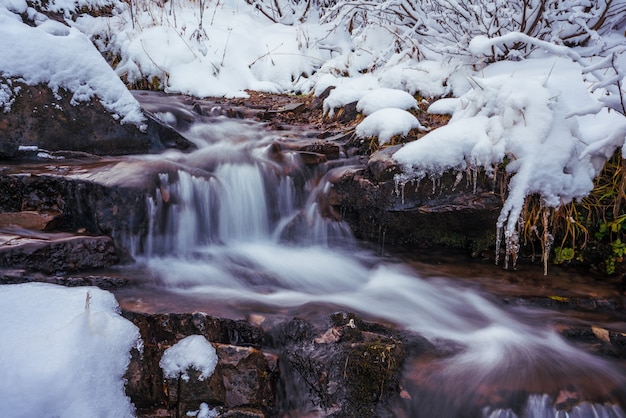 Small stream among wet stones and white snow in the picturesque Carpathian mountains in Ukraine